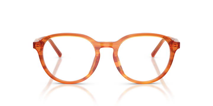 DOLCE &amp; GABBANA DG3444