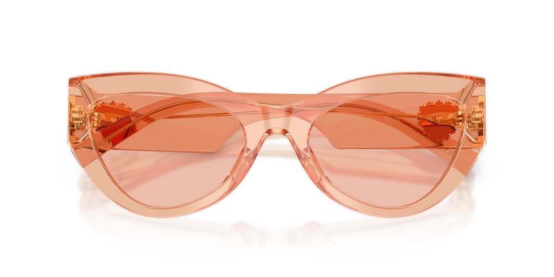 DOLCE &amp; GABBANA DG4536