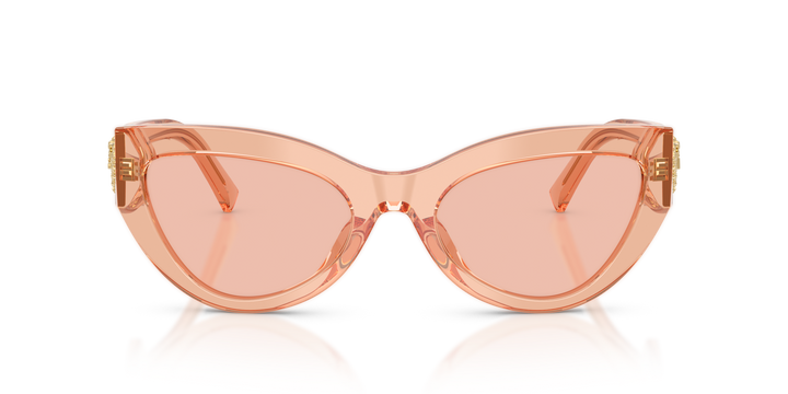 DOLCE &amp; GABBANA DG4536