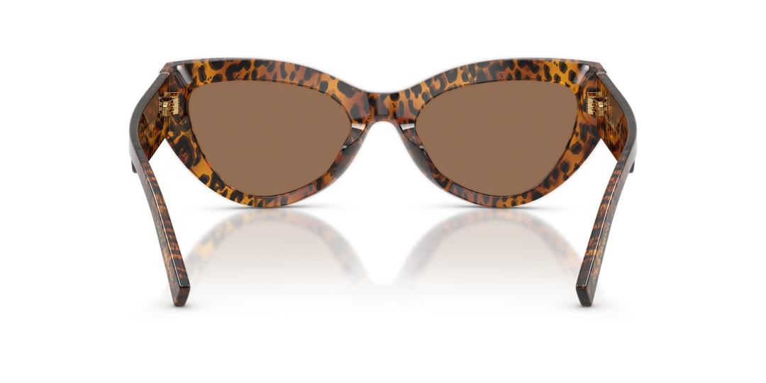 DOLCE &amp; GABBANA DG4536