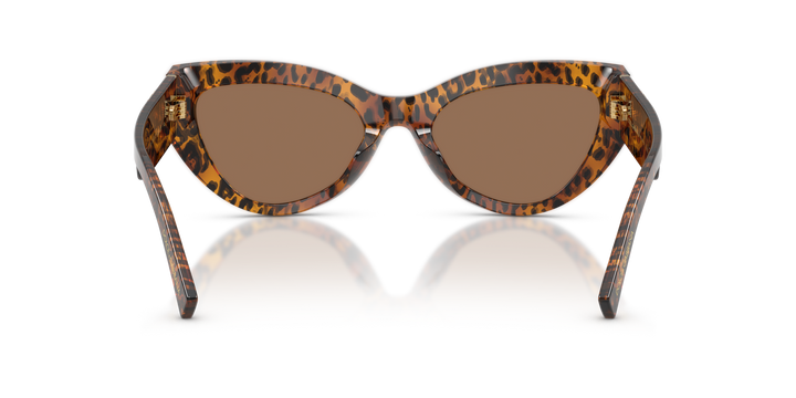 DOLCE &amp; GABBANA DG4536