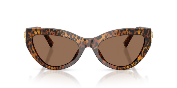 DOLCE &amp; GABBANA DG4536