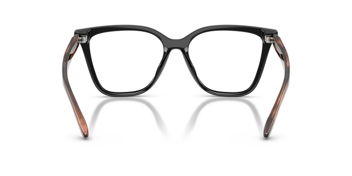 EMPORIO ARMANI EA4254U 62661W Negro Brillante, vista posterior 