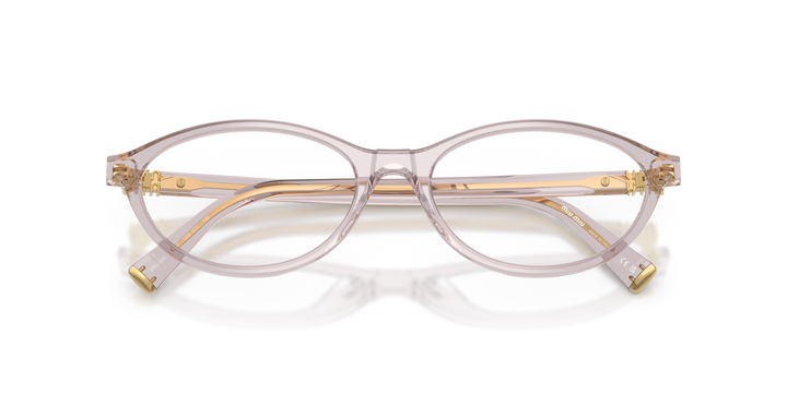 MIU MIU MU 09XV 12W1O1, vista frontal con varillas plegadas 
