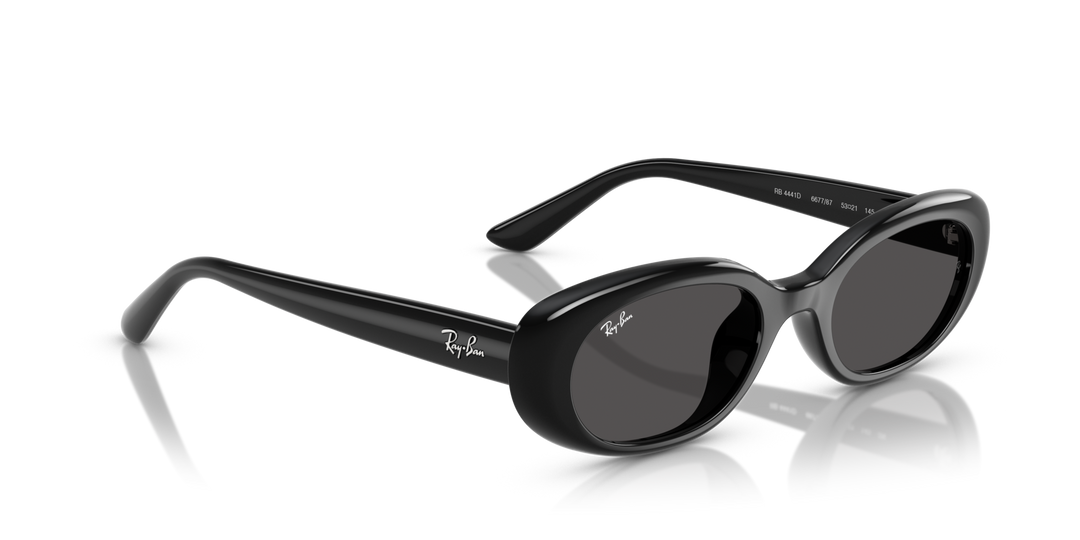 RAY-BAN RB4441D 667787 Negro, vista angular secundaria 