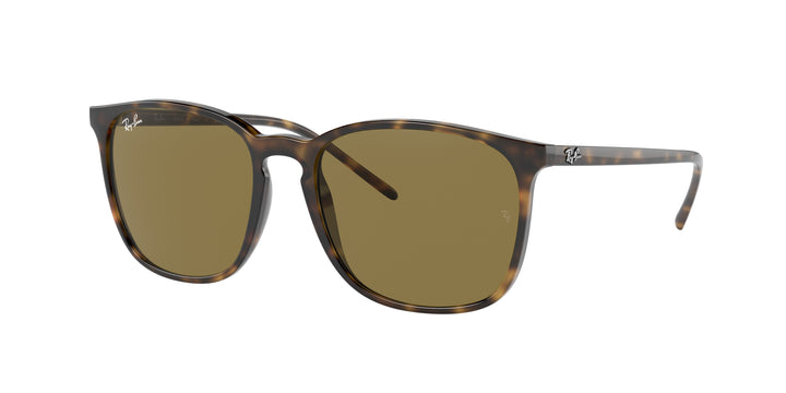 RAY-BAN RB4387