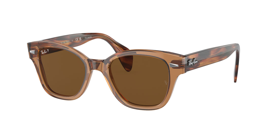 RAY-BAN RB0880S