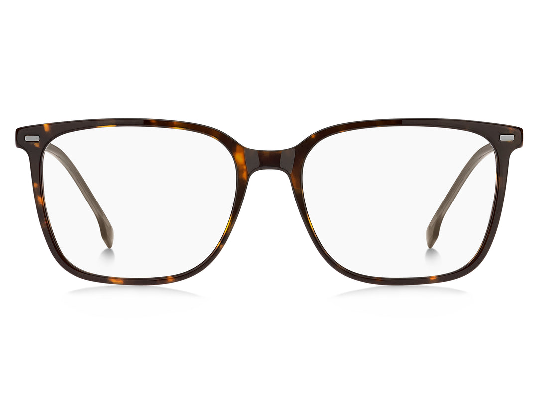BOSS 1696 havana y gris, vista frontal con varillas abiertas 
